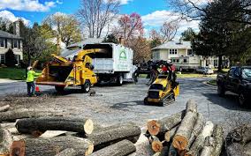 Best Lawn Fertilization  in Weedsport, NY