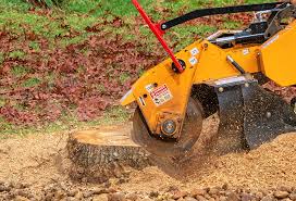 Best Lawn Renovation and Restoration  in Weedsport, NY