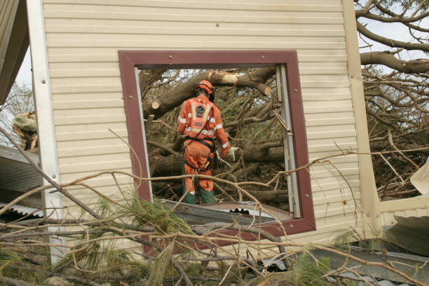 Leaf Removal in Weedsport, NY